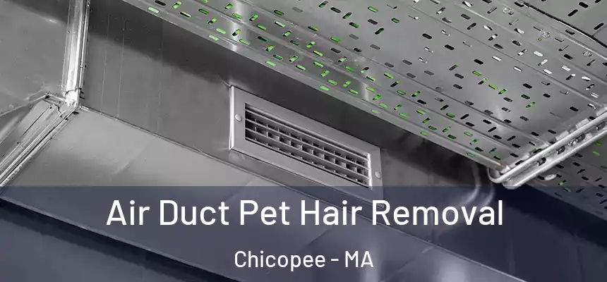  Air Duct Pet Hair Removal Chicopee - MA