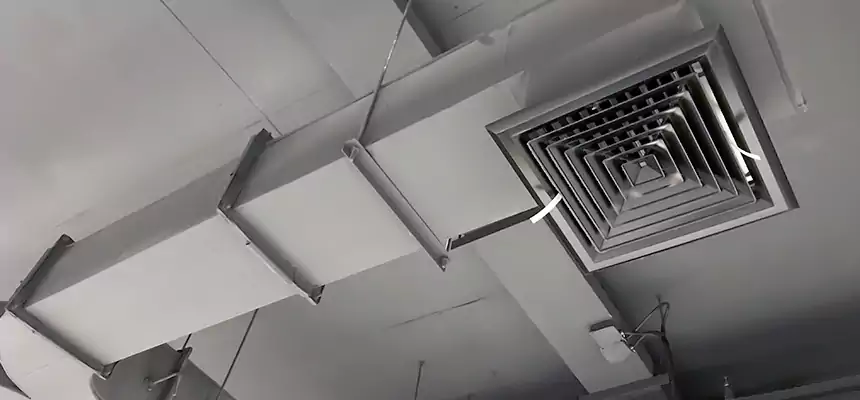 Restorative Allergy Relief Vent Cleaning – Coil, Blower & Housing Detail in Chicopee