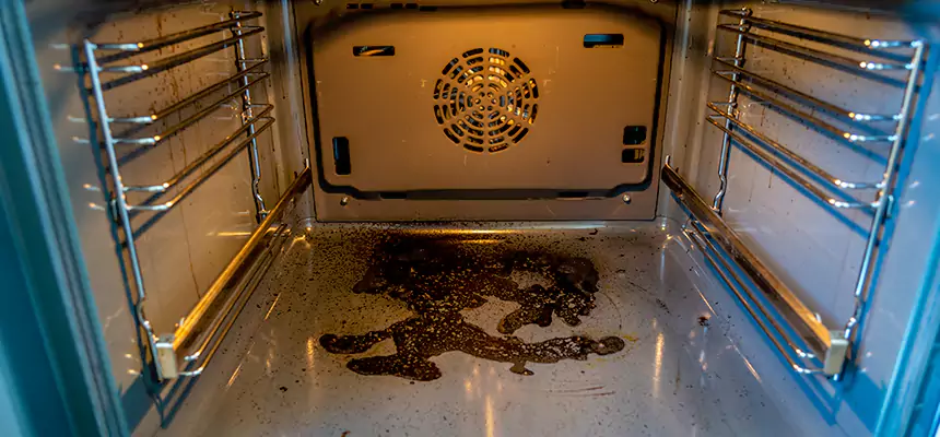 Our Dryer Vent Mold Cleaning Services in Chicopee, MA