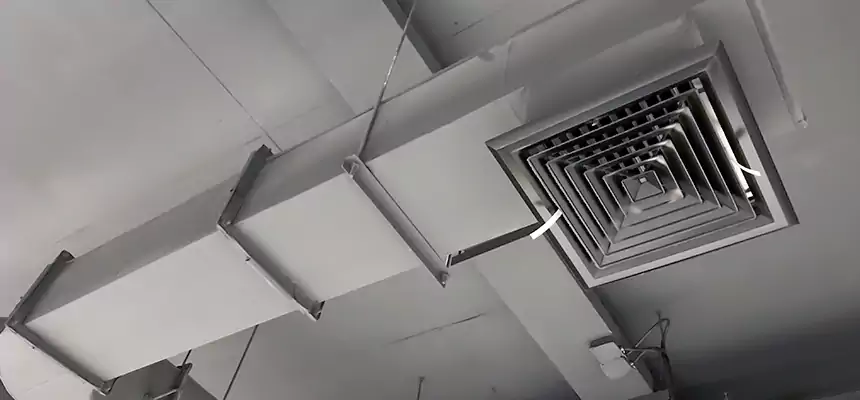 Our Pest Removal From Ducts Services in Chicopee, MA