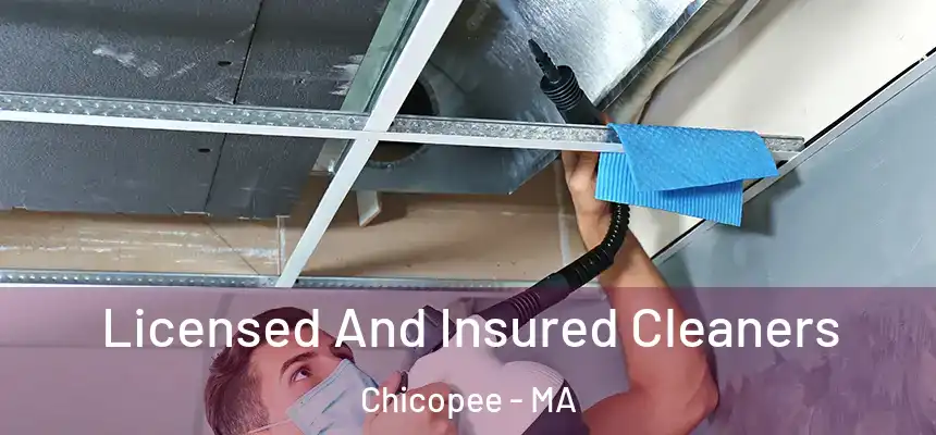  Licensed And Insured Cleaners Chicopee - MA