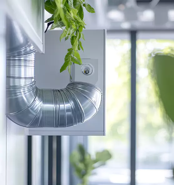 Professional Eco-Friendly Duct Cleaning Services in Chicopee, MA