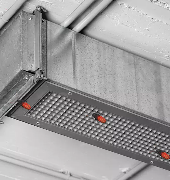Affordable Insect Removal from Air Ducts in Chicopee, MA
