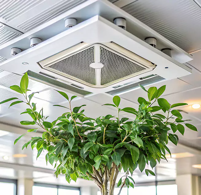 Why Homeowners & Businesses Trust Us in Chicopee, MA?