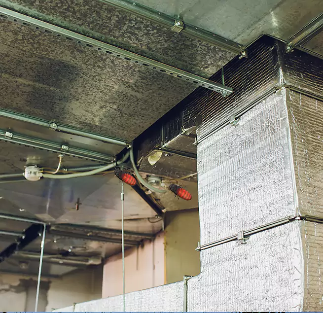 Why Homeowners & Businesses Trust Us Chicopee, MA?