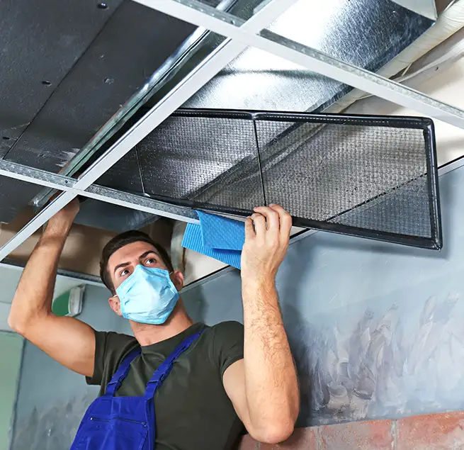 Why Homeowners & Businesses Trust Us in Chicopee, MA?